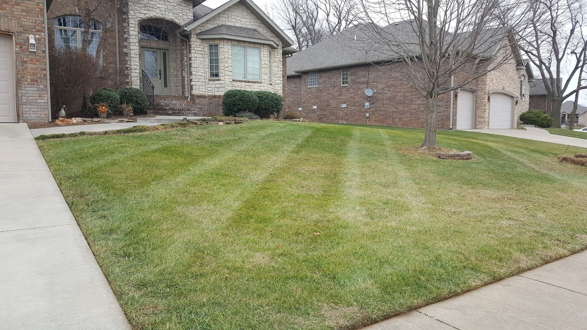 Lawn in front of a house, striped grass, light brown house, green grass, concrete walkway, overcast sky.