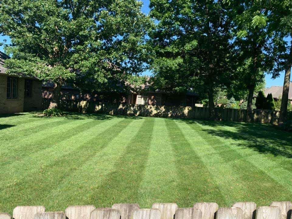 Lawn with green and striped pattern, trees in background, sunny day.