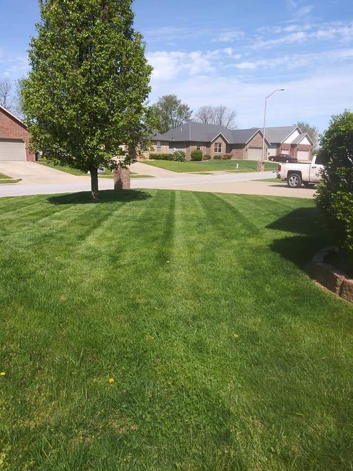 Lawn in a residential neighborhood, recently mowed with striped pattern, blue sky, houses in background.