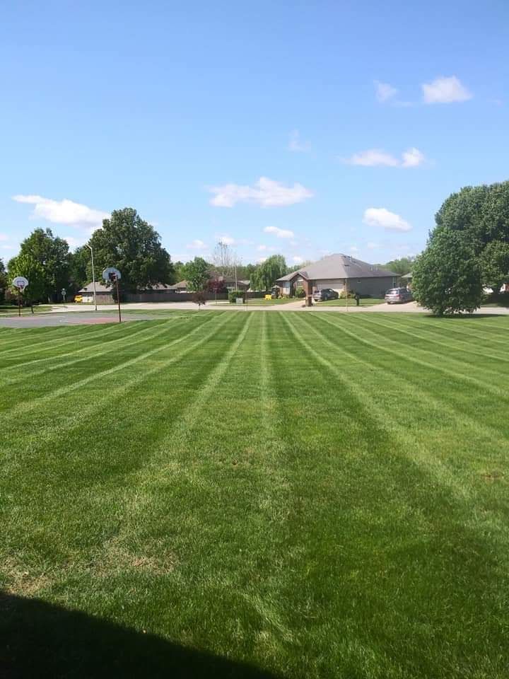 Lawn with striped pattern under a blue sky, trees, and houses in the background.