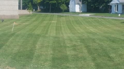 Green lawn with parallel mowing stripes, houses in background.