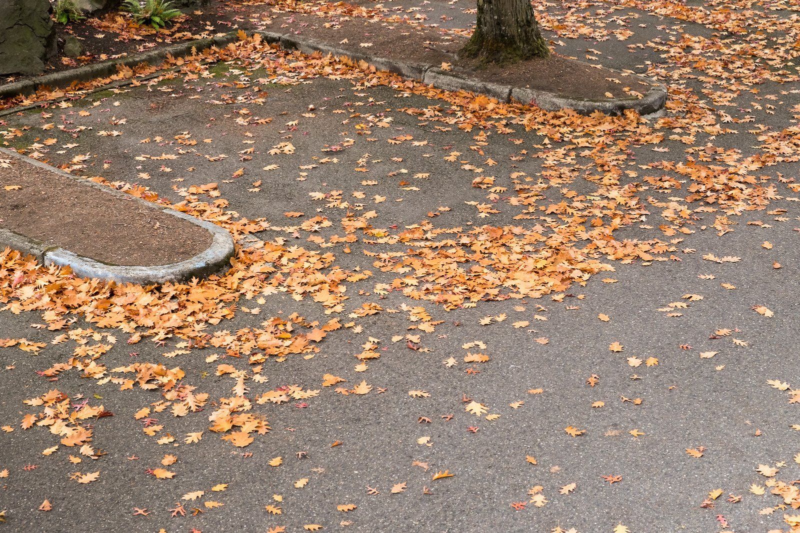 A house at night, lit by a lamp. A grass lawn is in the foreground.