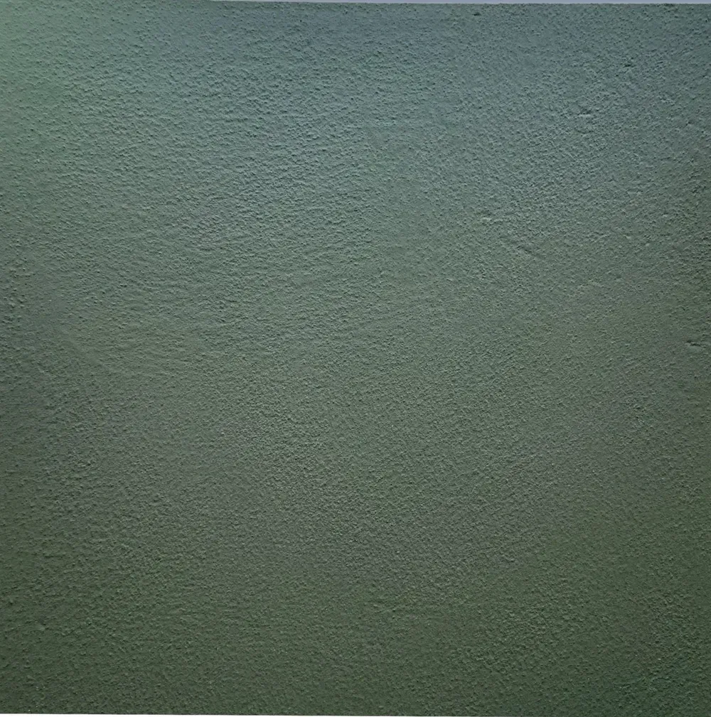 Close-up of a textured green-gray wall or surface.