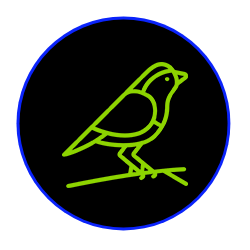 green-bird-icon