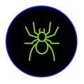 a green spider is in a blue circle on a black background .