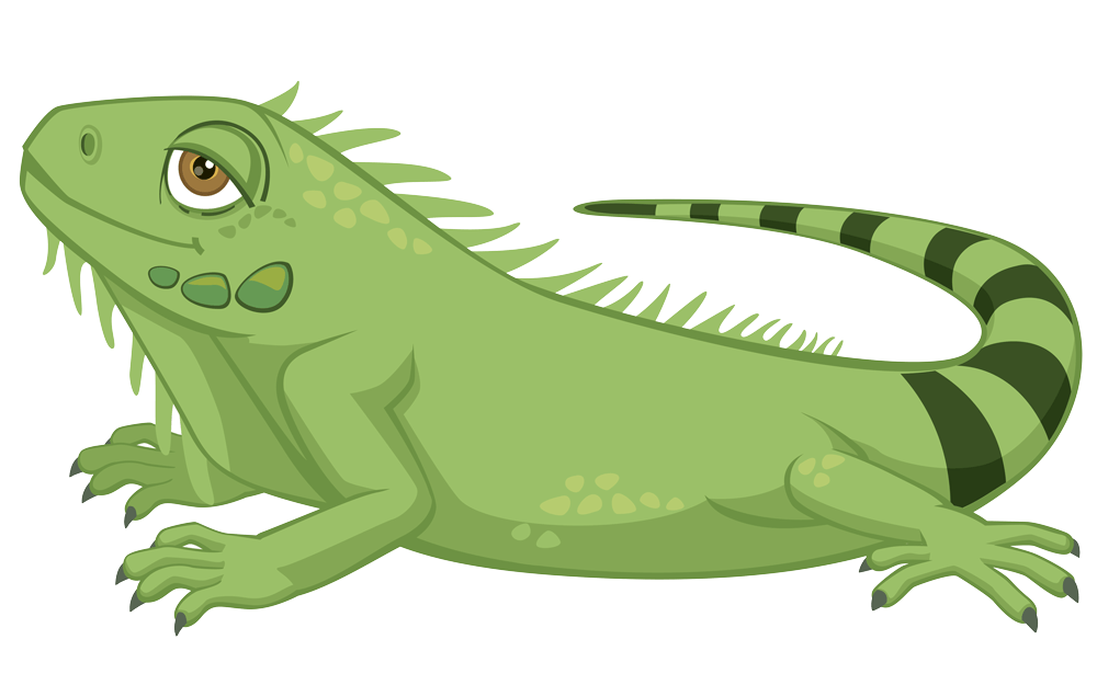 a cartoon illustration of a green iguana on a white background .