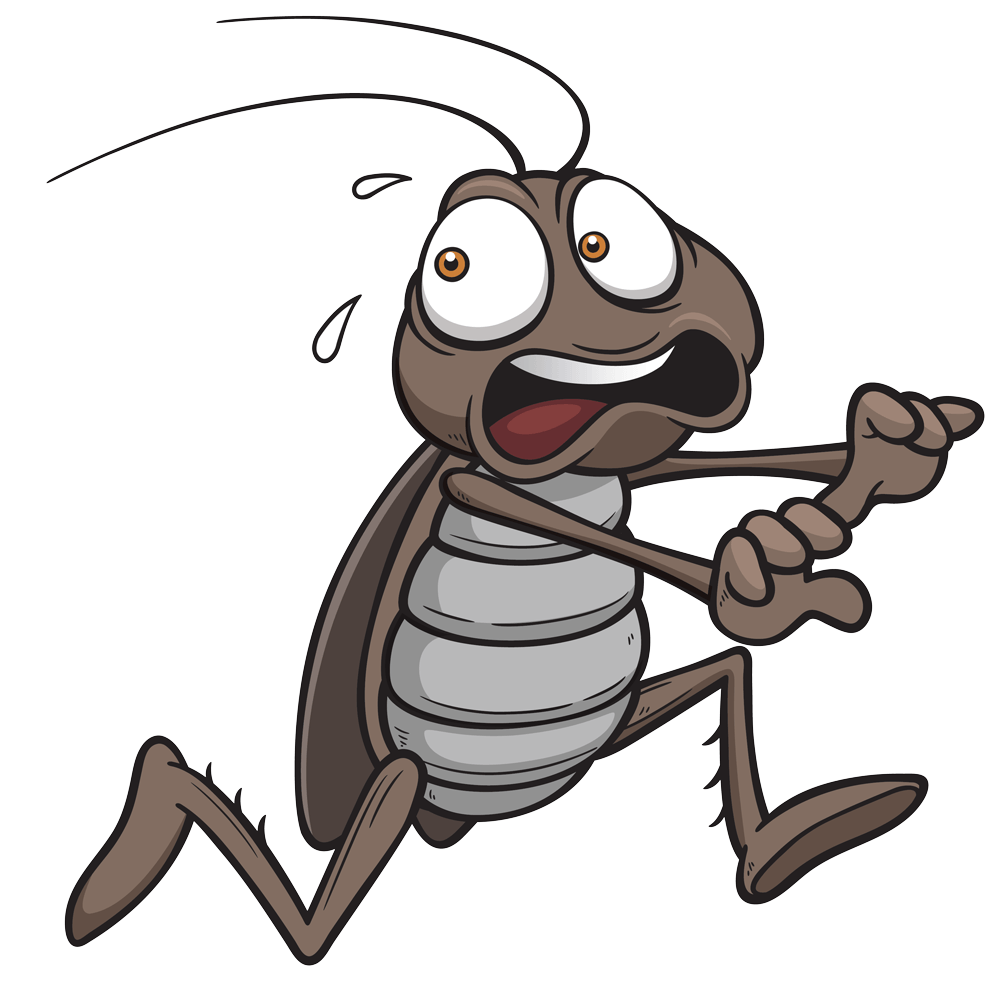 a cartoon cockroach is running and holding something in its hands .