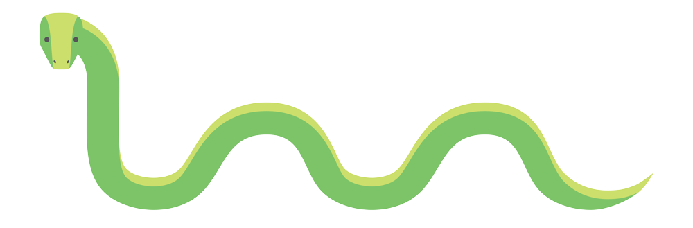 a green snake with a long tail on a white background .