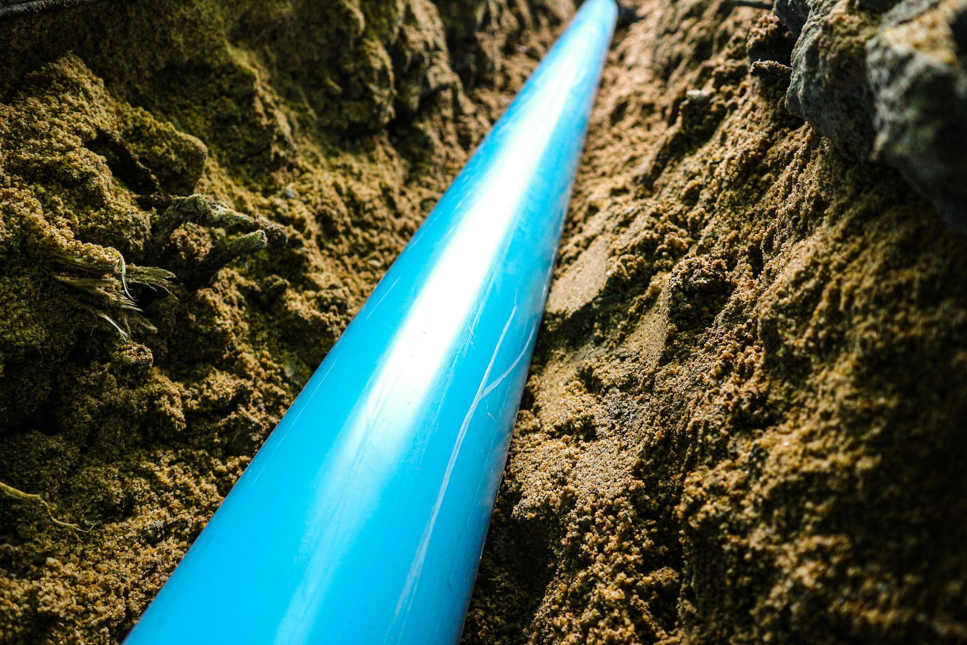 A blue pipe is laying in the dirt in a trench.