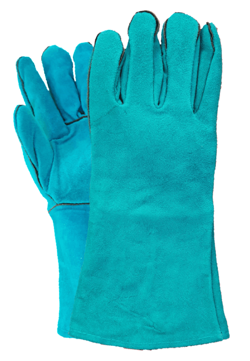 A pair of blue leather gloves on a white background