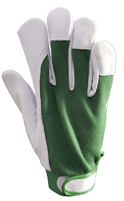A pair of green and white gloves on a white background.