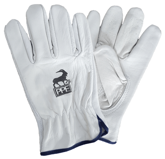 A pair of white ppe gloves with a blue border