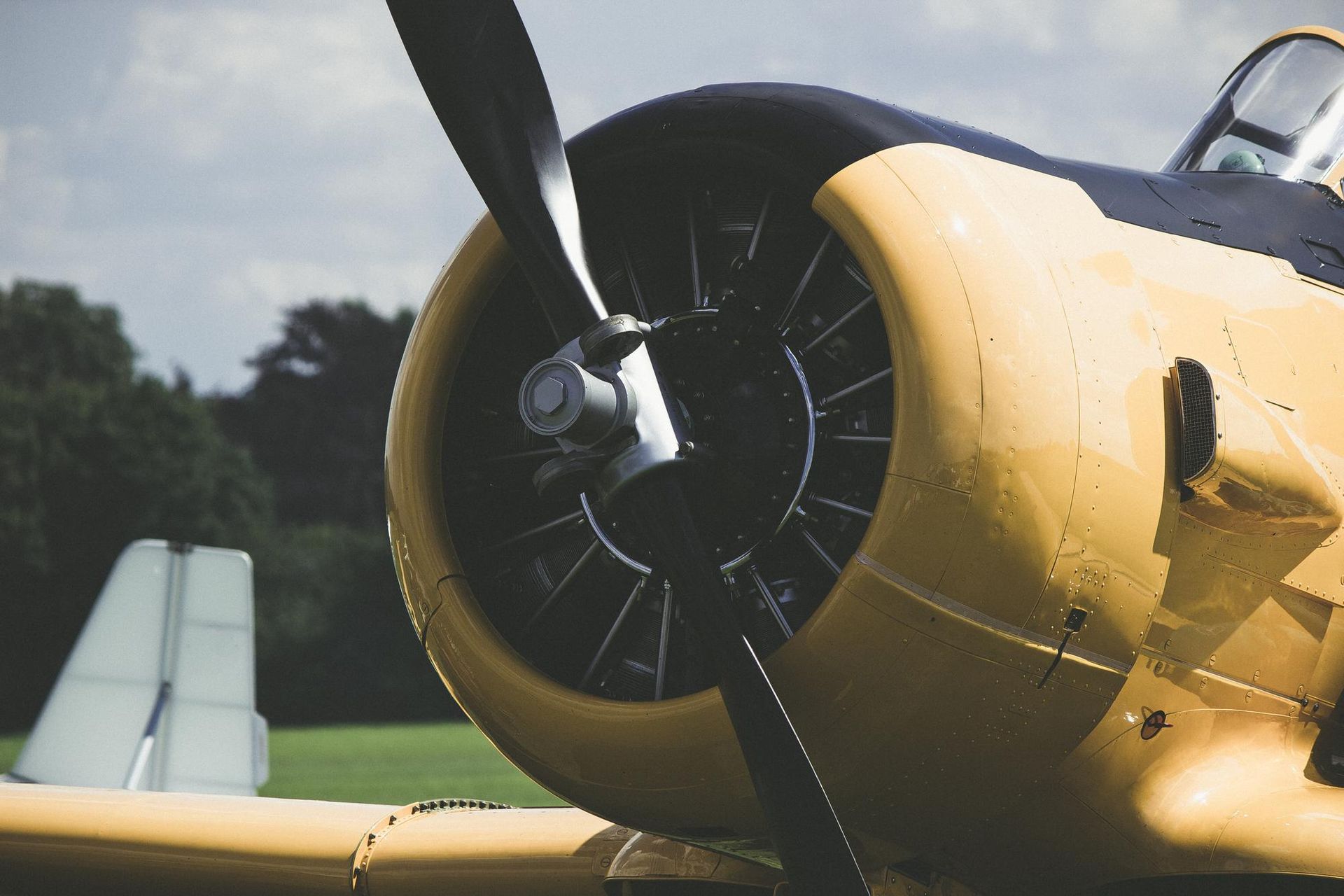 A yellow and black propeller plane is parked in a field.