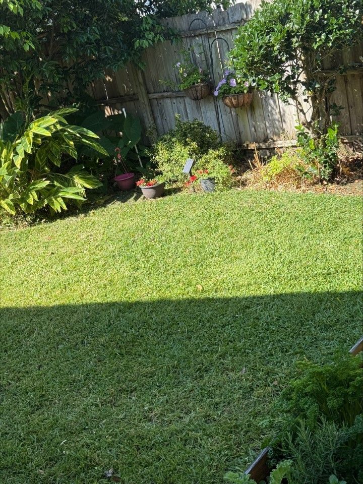 A lush green lawn with a wooden fence in the background.