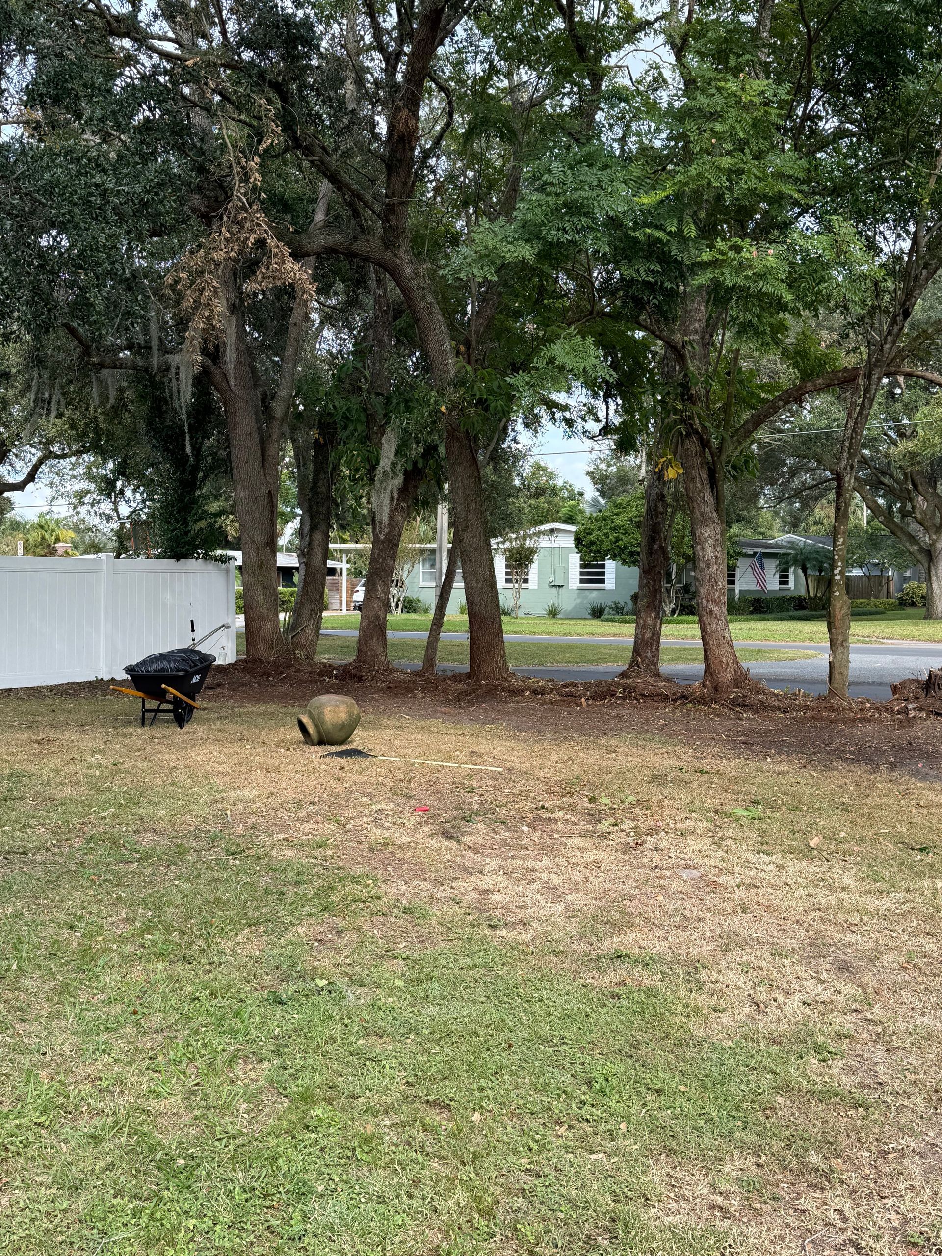 There is a wheelbarrow in the middle of the grass in the backyard.