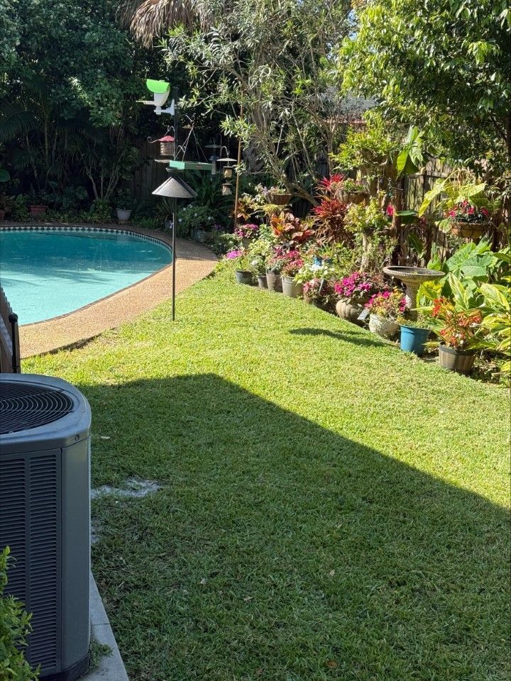 There is a swimming pool in the backyard with a lot of plants and flowers.