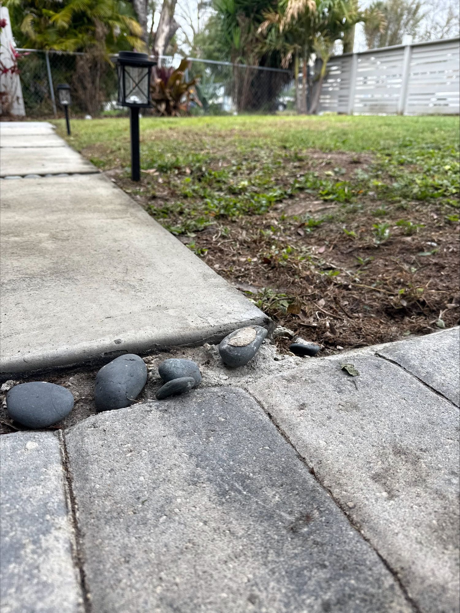 A sidewalk with rocks on it and a lawn in the background.