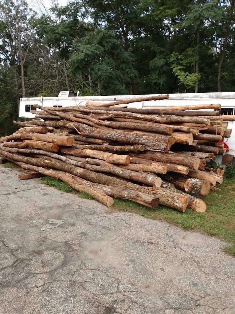 A pile of logs is sitting on the side of the road.