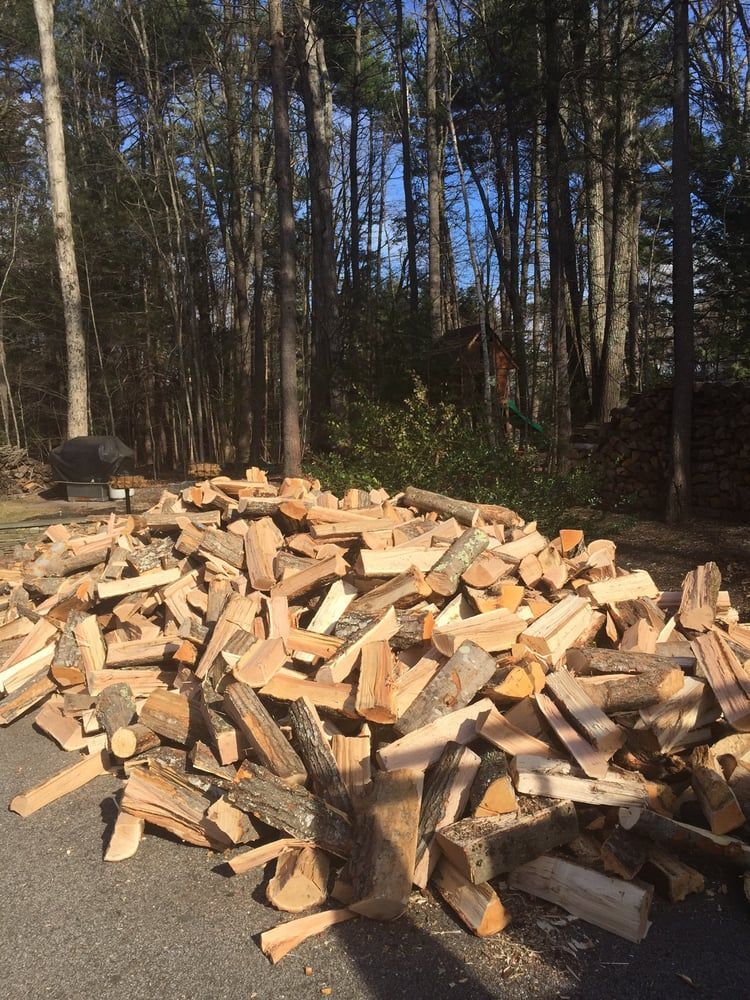 A pile of wood is sitting on the side of the road in front of a forest.