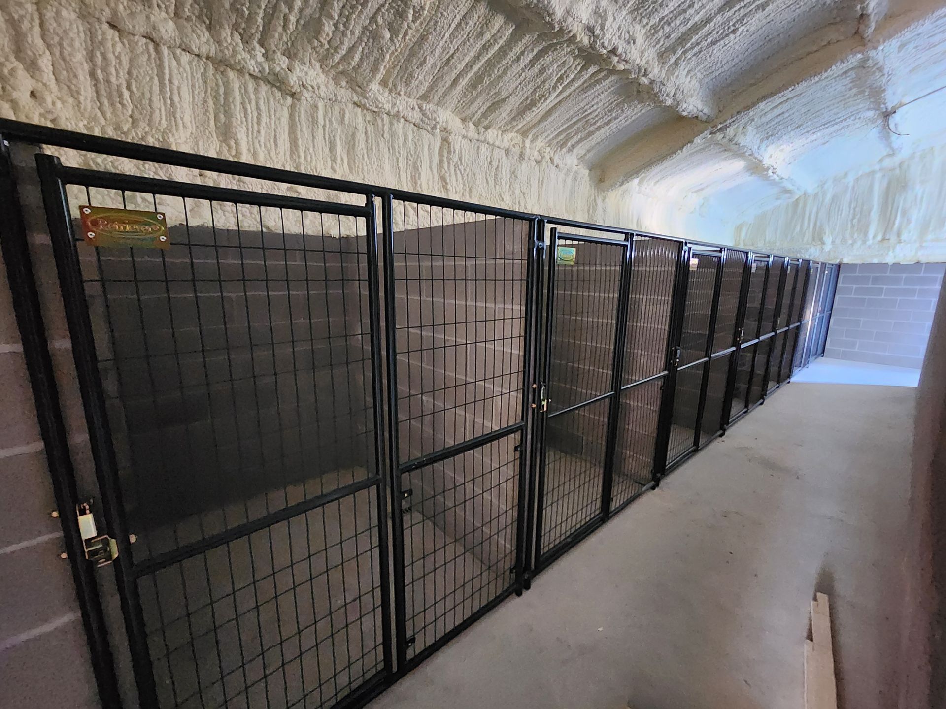 Row of dog kennels with black metal doors, inside a building with insulation on the ceiling.