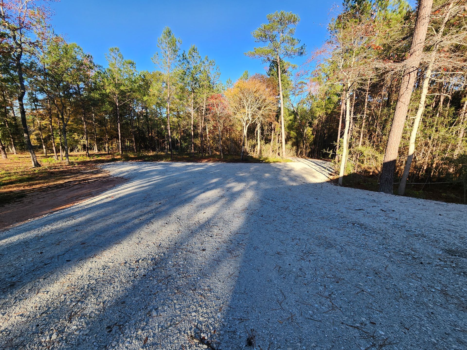 Gravel road through a forest, blue sky overhead. Sunlight casts shadows.