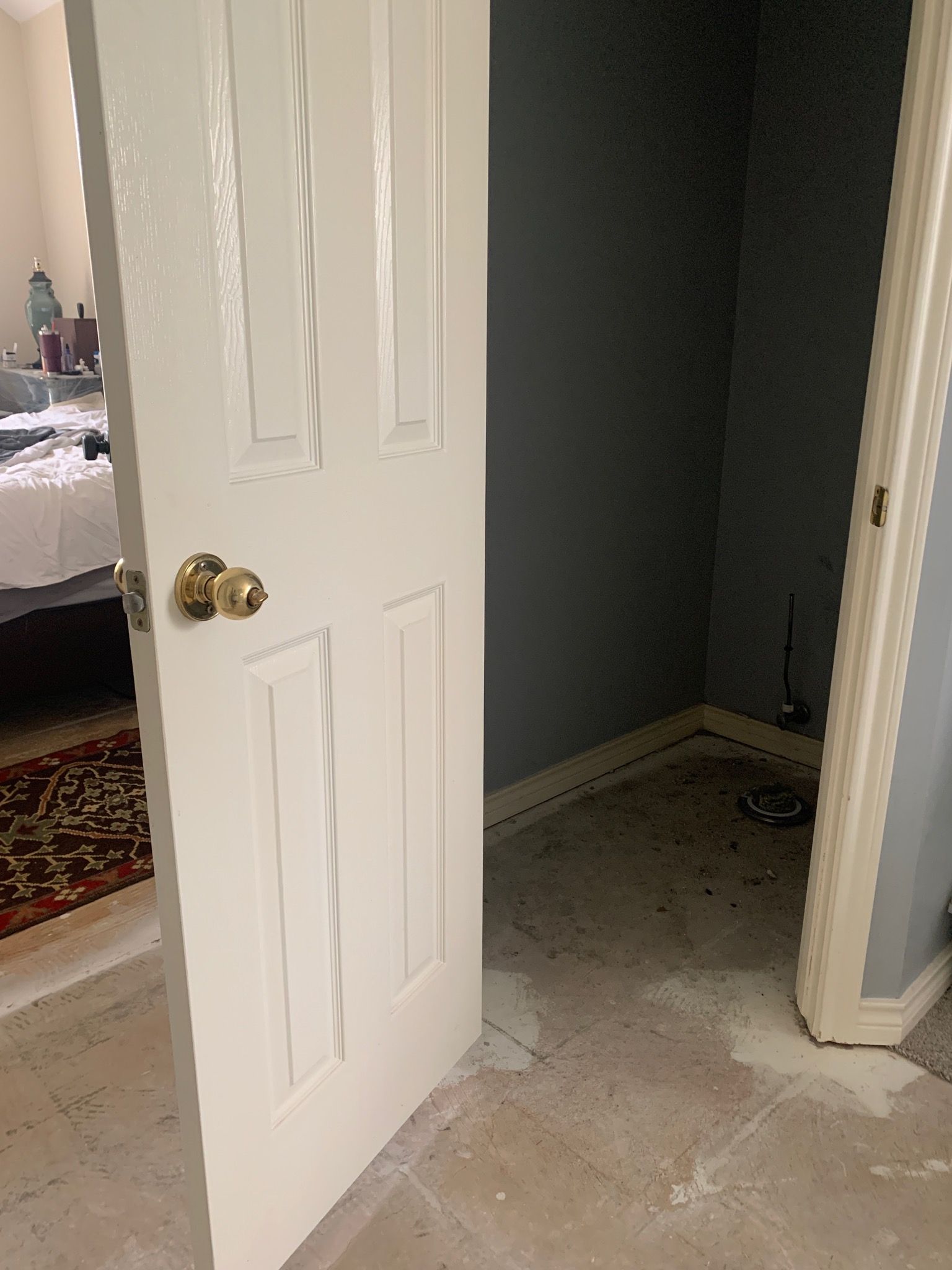 White door ajar, revealing a small room with blue walls and a dirty floor, off a bedroom with a patterned rug.
