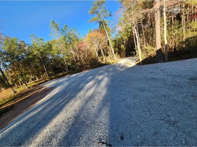 A road with a lot of trees on the side of it