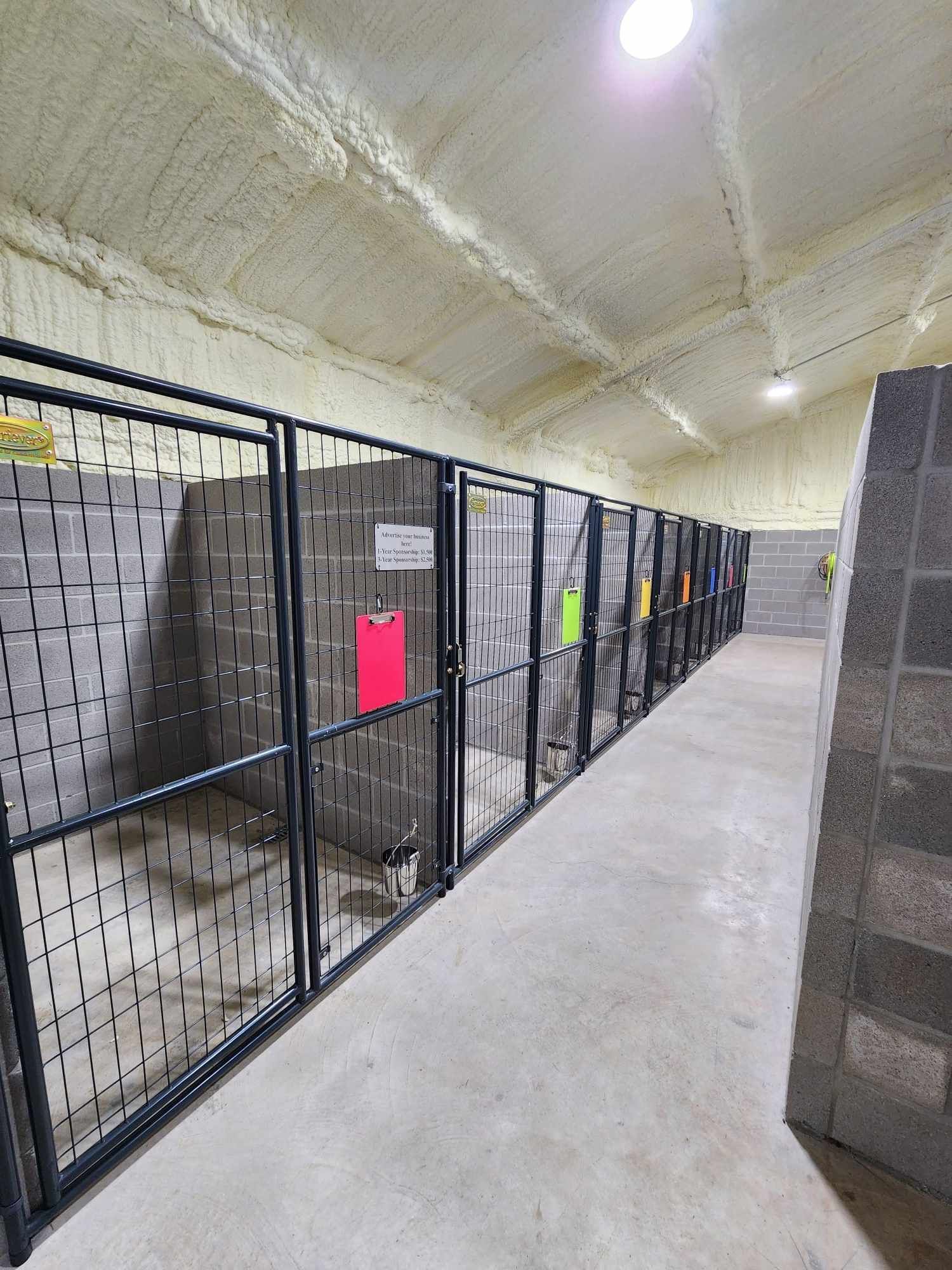 Interior of a dog kennel with individual metal enclosures along a concrete hallway.