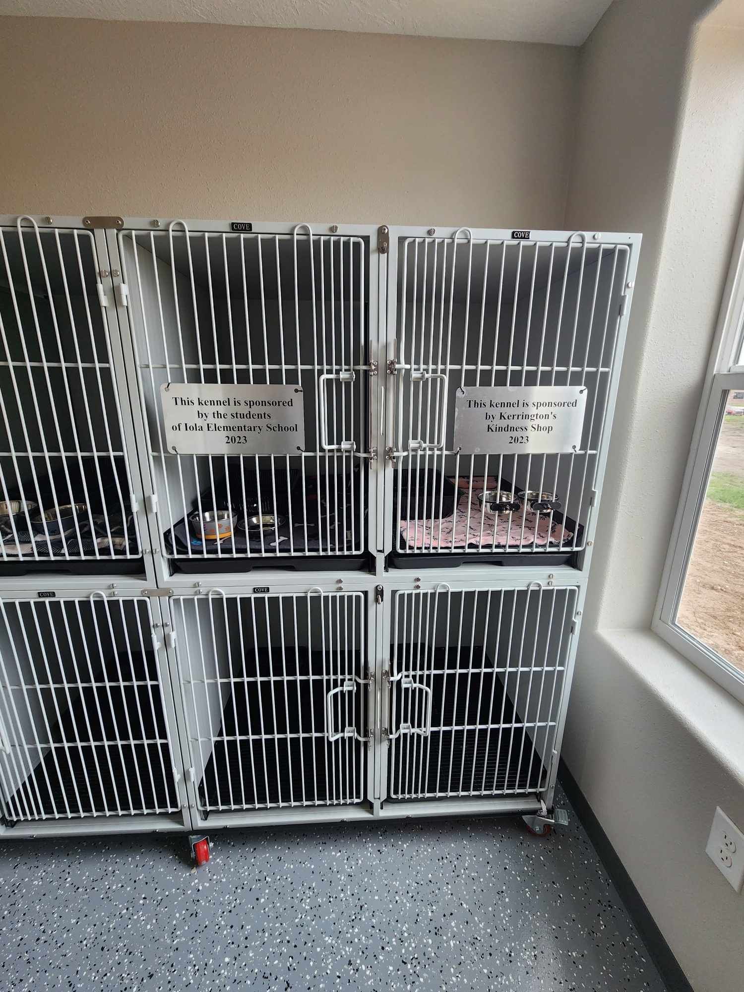 Cages at a pet shelter with animals inside, signs on the front, near a window.