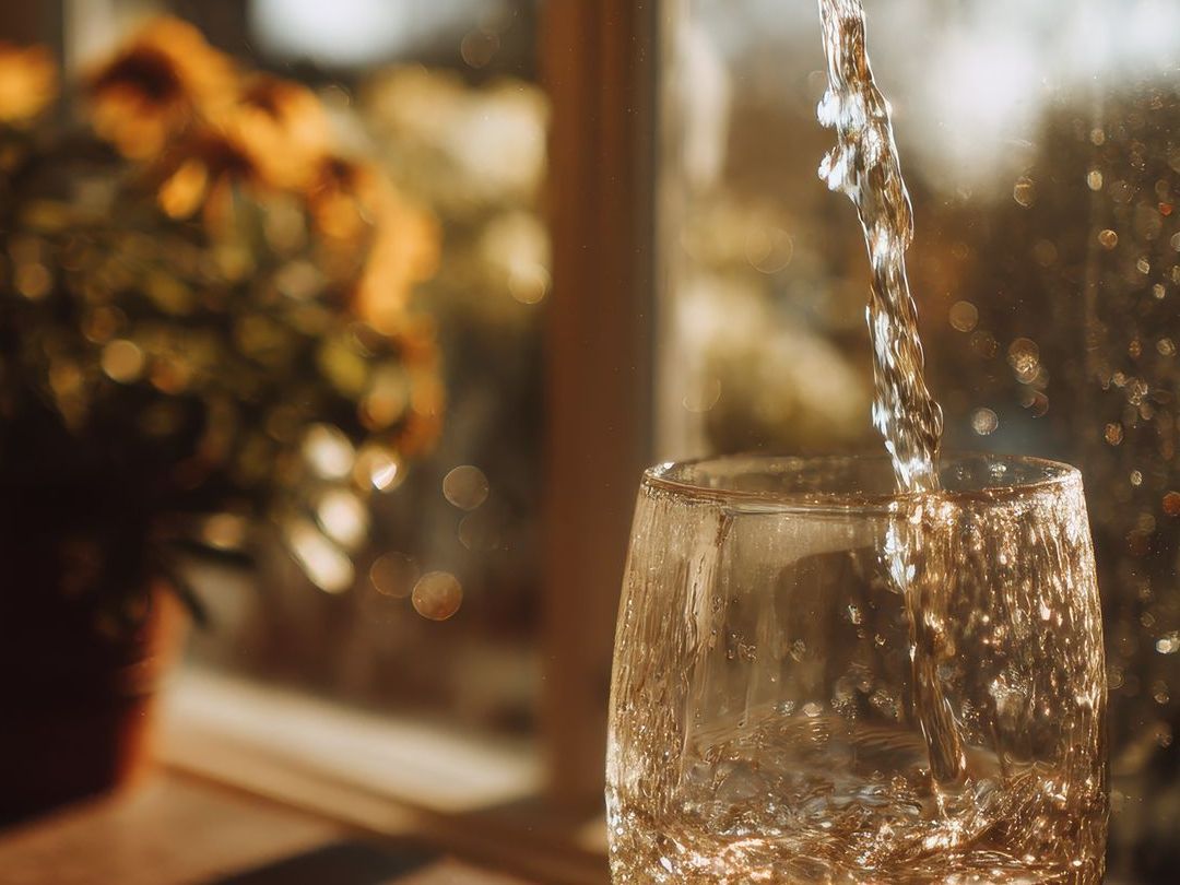 Water pouring into a glass, lit by sunlight. A potted plant sits on a windowsill in the blurred background.
