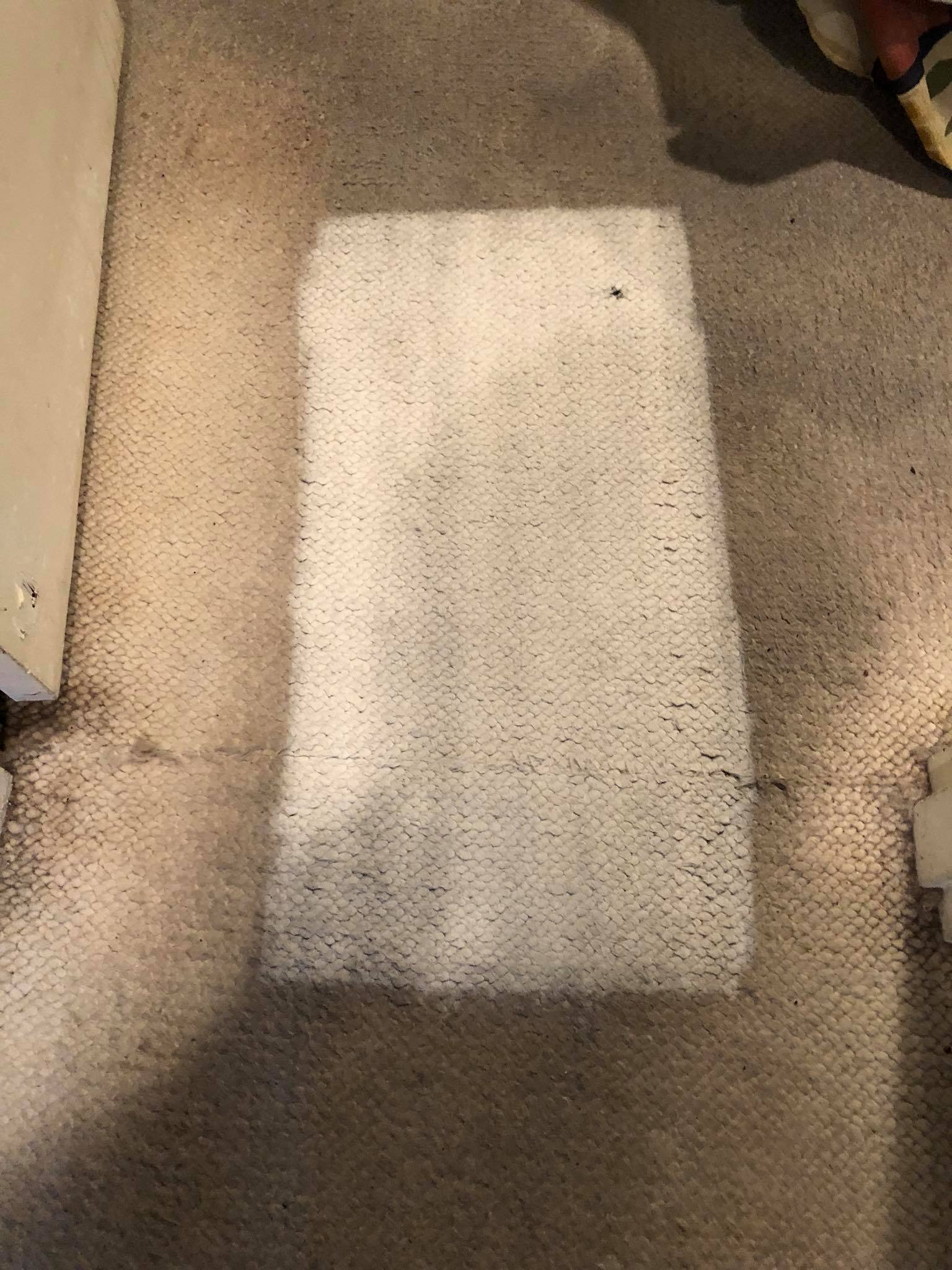 Carpet Cleaning Long Island