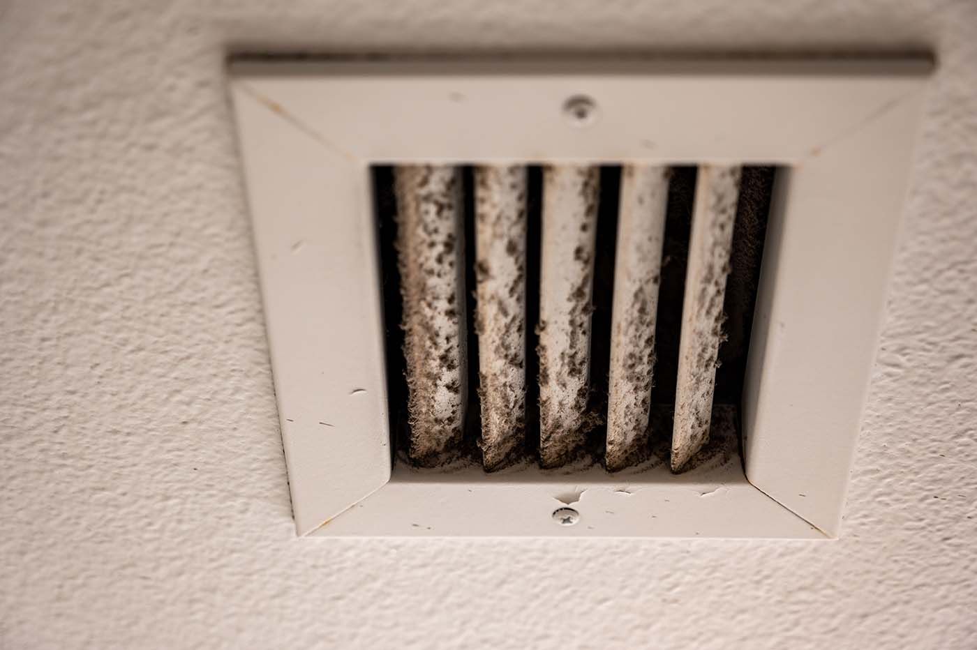 Mold in HVAC Air Ducts: Professional Removal Solutions