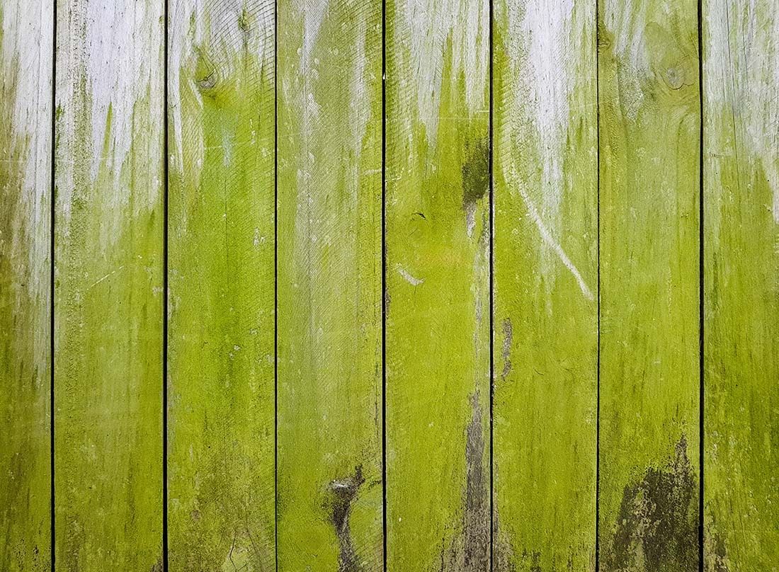 fence cleaning services in Suffolk County Long Island by K.O.S. Cleaning