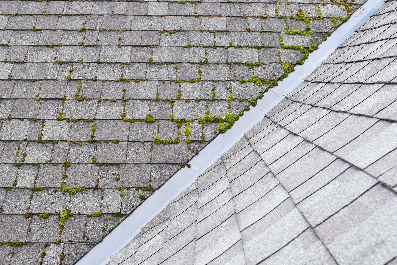 Get to know the signs your roof needs cleaning. KOS Cleaning of Long Island offers roof cleaning. 