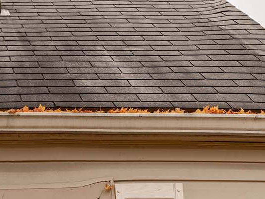 black marks on a roof that needs cleaning