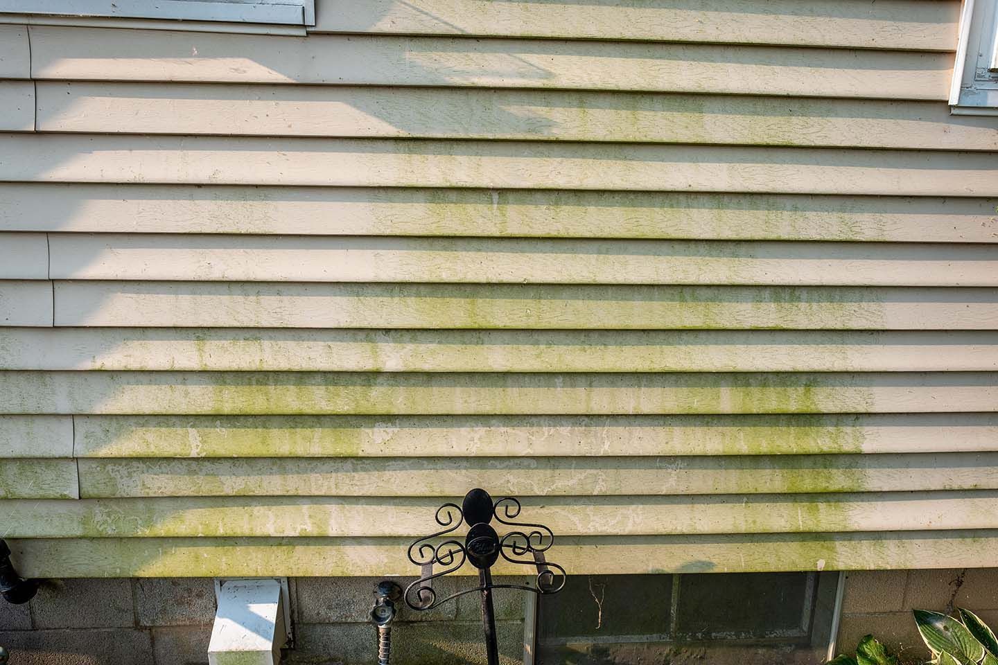 Green vinyl siding at home in Suffolk County NY