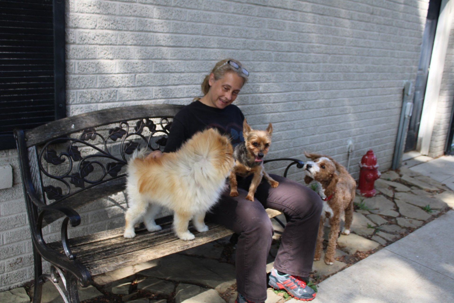 Woman With Pet Dogs  — Clinton Twp., MI — Shores Kennels