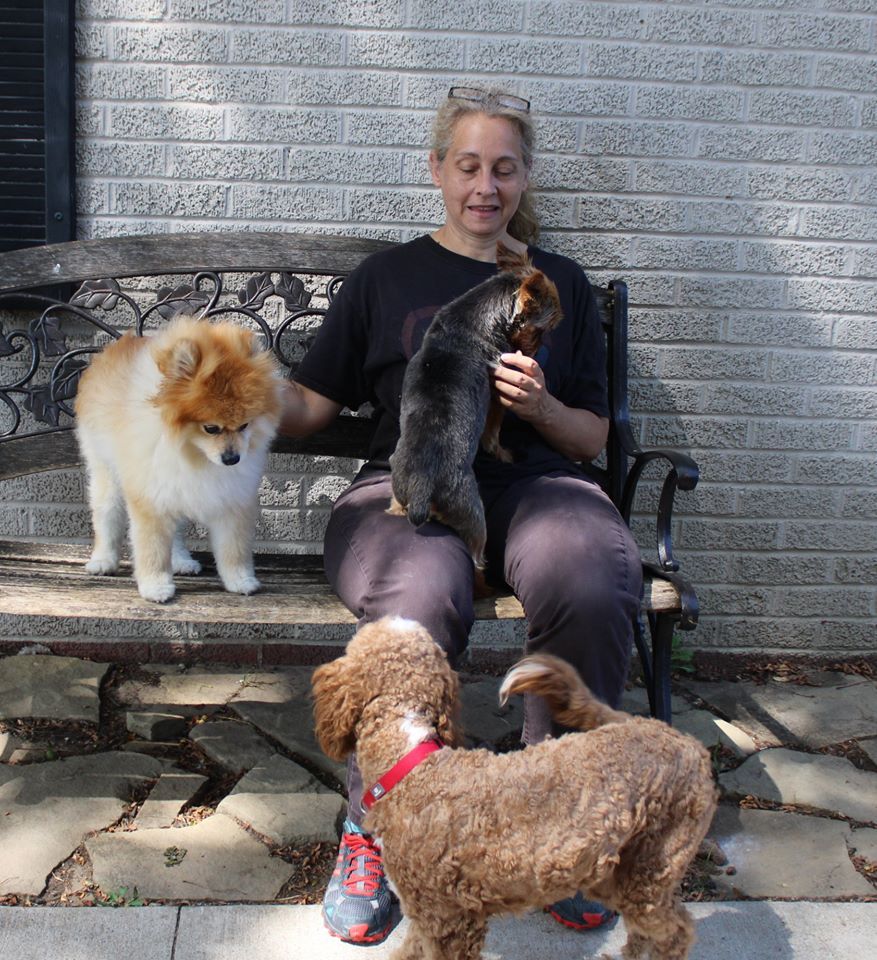 Woman With Dogs — Clinton Twp., MI — Shores Kennels