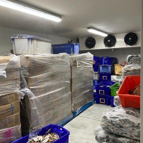 Freezer room with frozen items kempsey