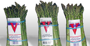 Thermal Label Printer