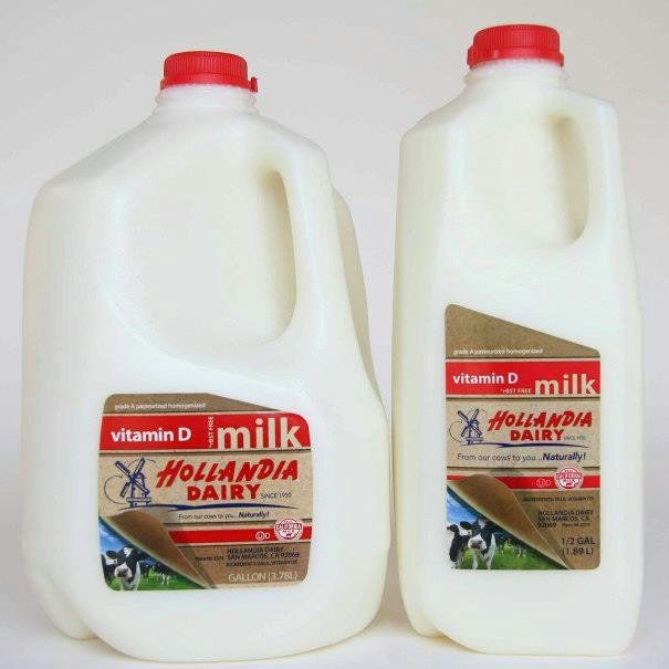 Thermal Label Printer