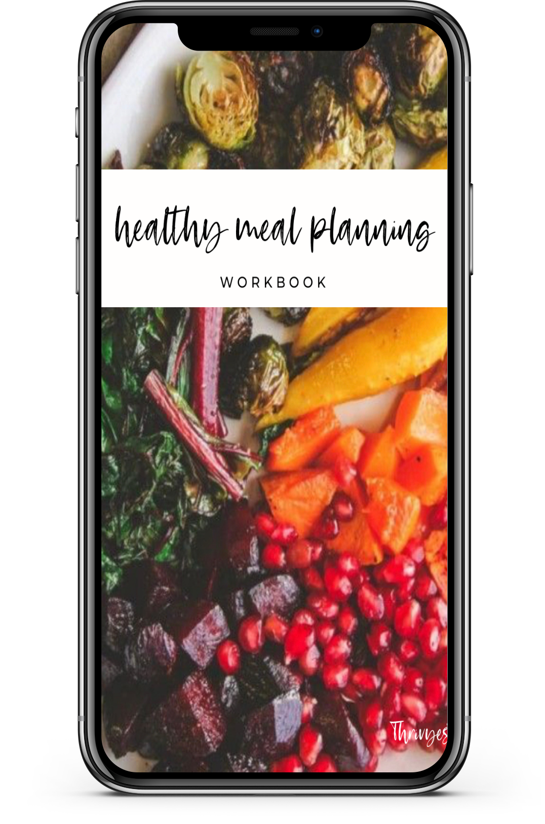 thrivyest healthy meal planning free guide