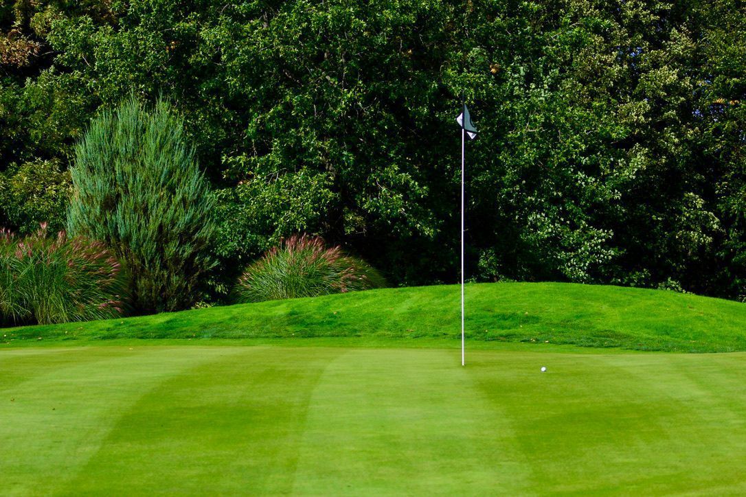 Golf green with flagstick and hole, bordered by trees and shrubs
