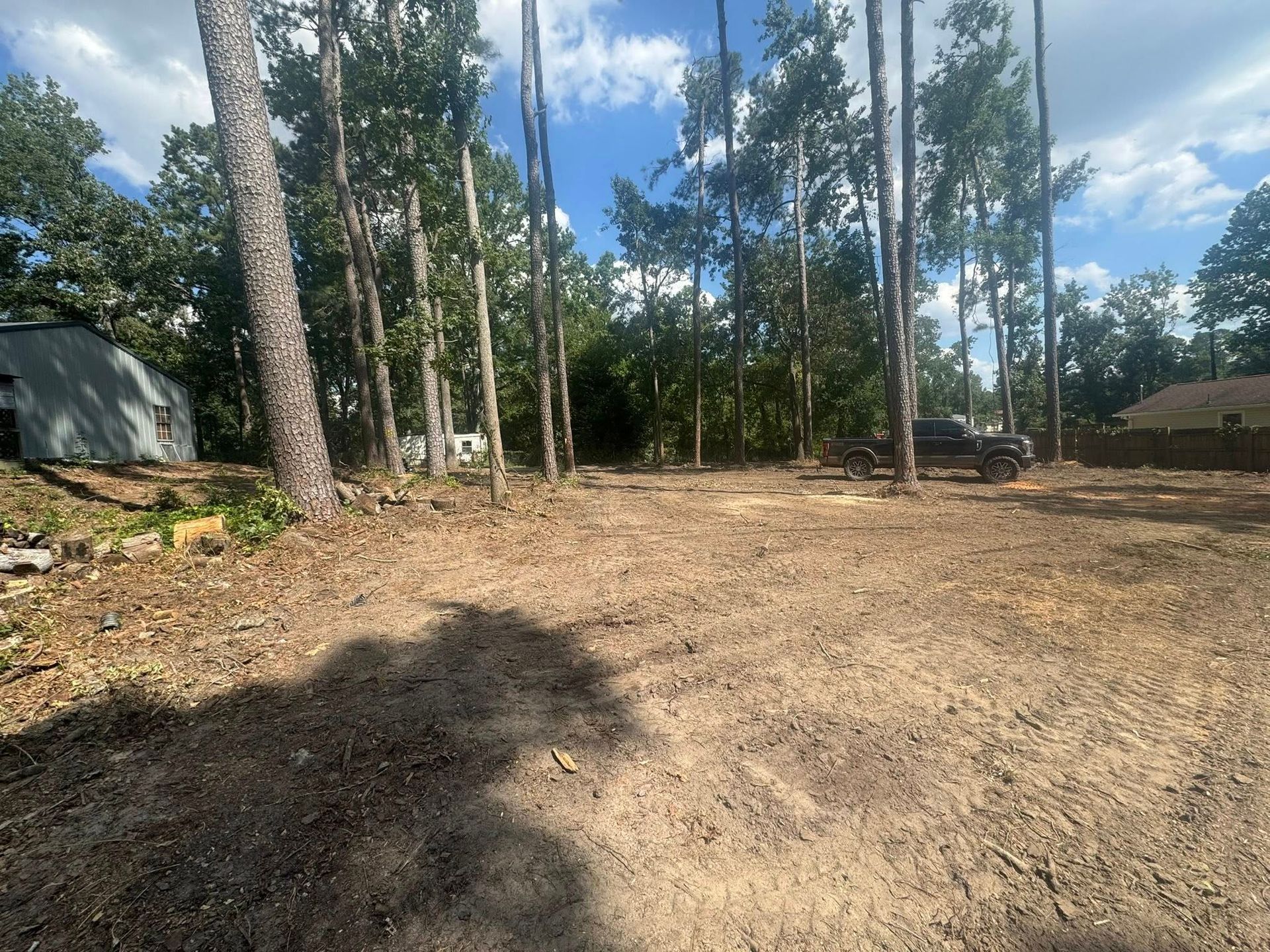 Cleared land with tall trees, blue sky, and a building on the left; a vehicle is parked on the right.