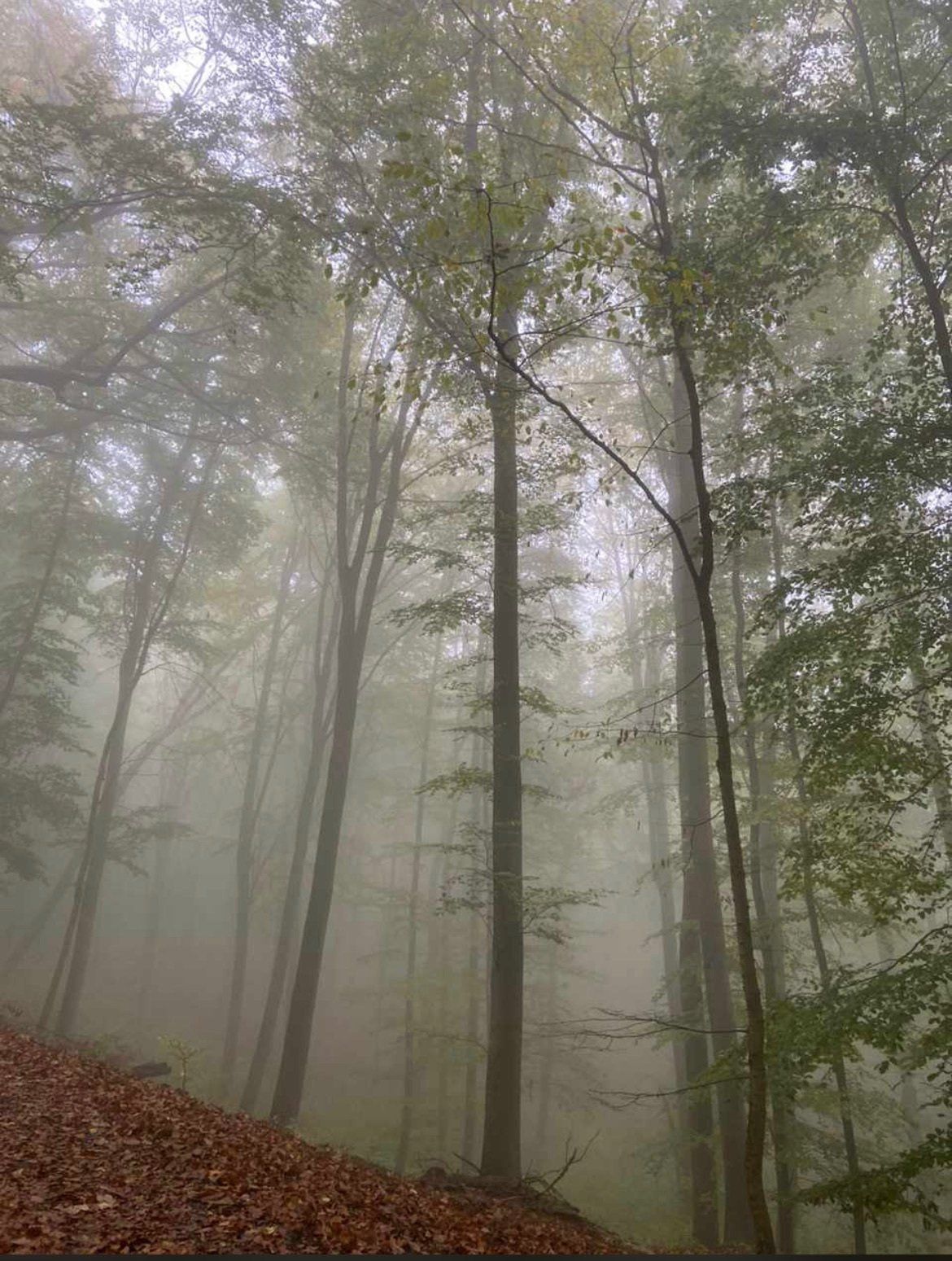 Kathrin Steinbach - Transformationstherapeutin mit Herz. Paartherapie im Bergischen Land. Aktiviere deine Veränderungskraft und gestalte dein Leben selbst.