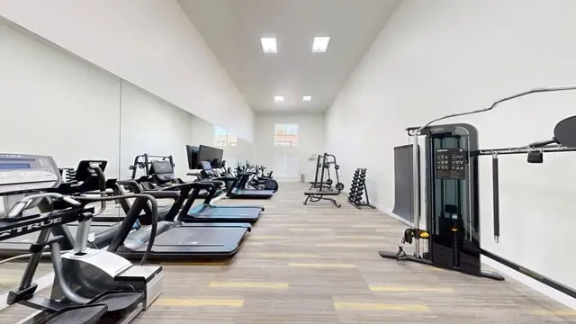 Gym with treadmills, elliptical machines, weight rack, and cable machine.