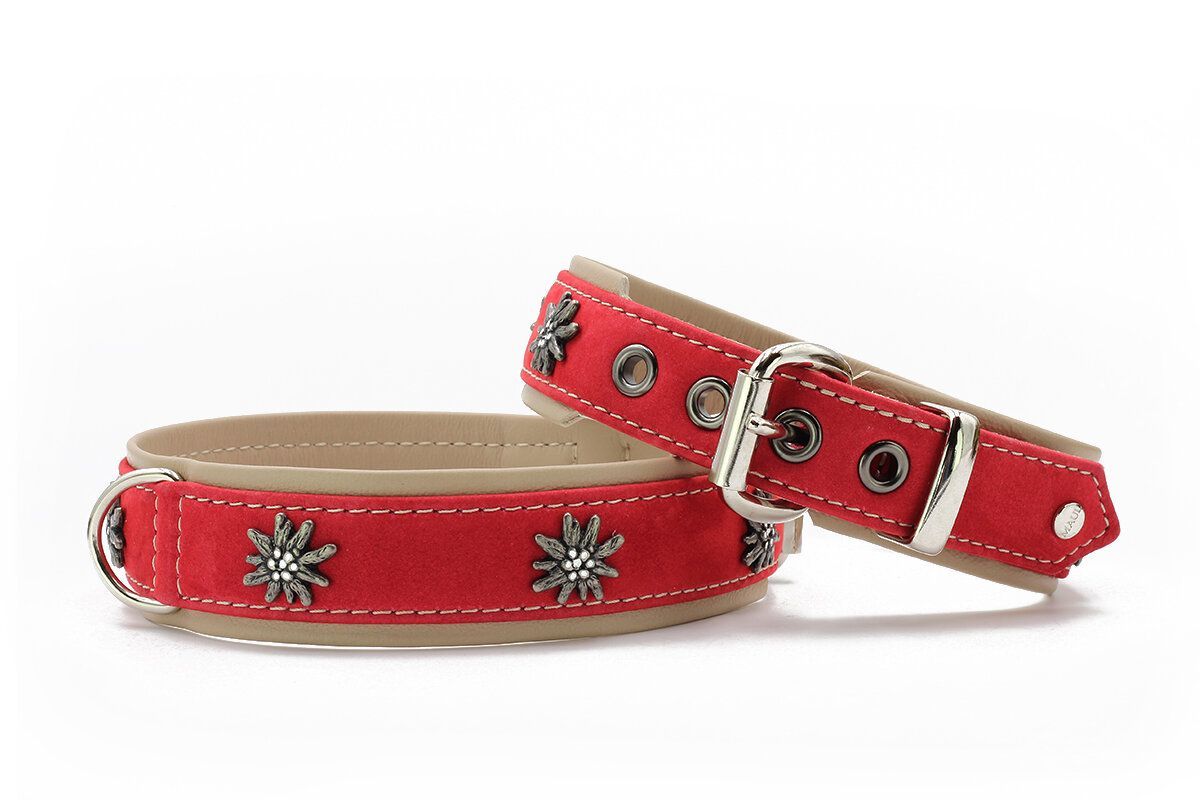 Halsband Alpenbloemen Rood