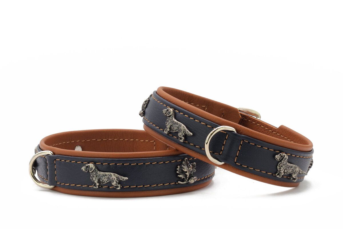 Halsband Teckel Blauw