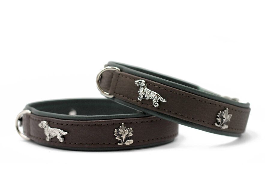 Halsband Teckel Bruin