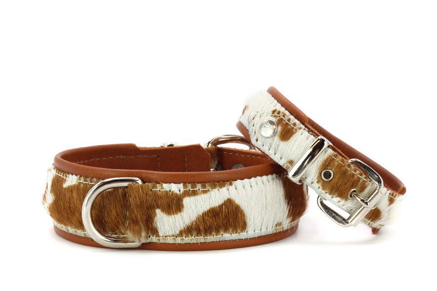 Halsband Koe